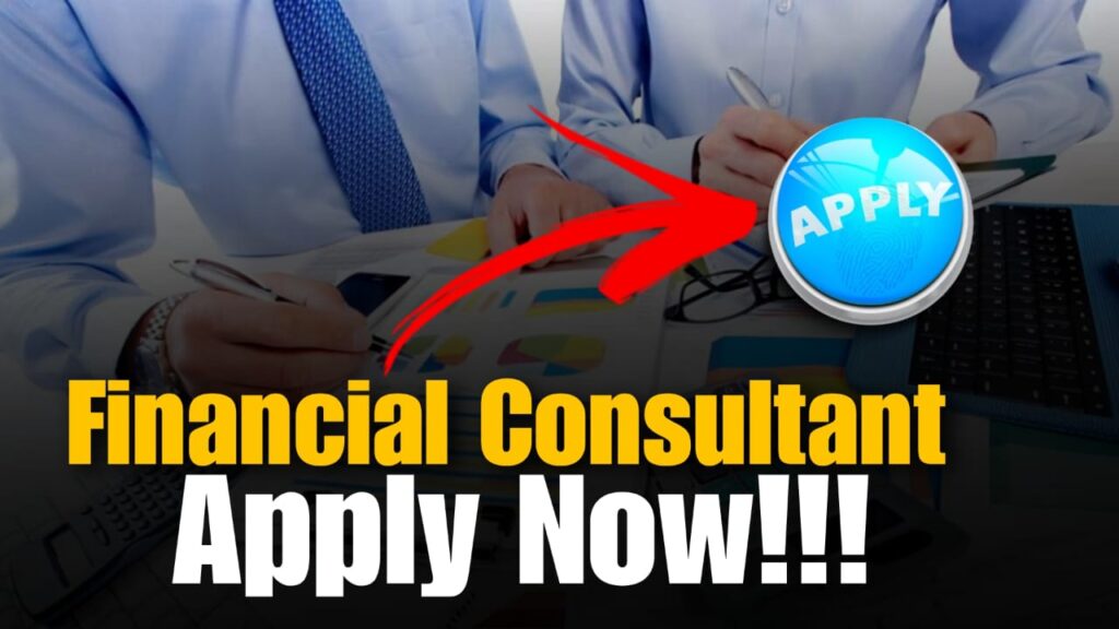 Financial Consultant